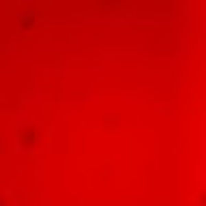 Meet your Posher, Eva